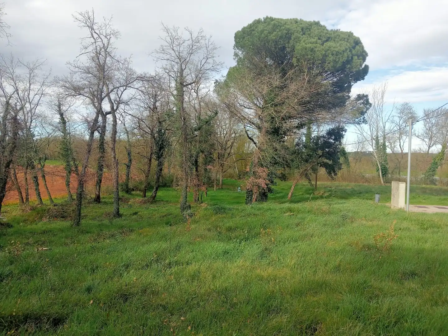 Terreny residencial en venda a Carrer Palafrugell 41, imagen 2