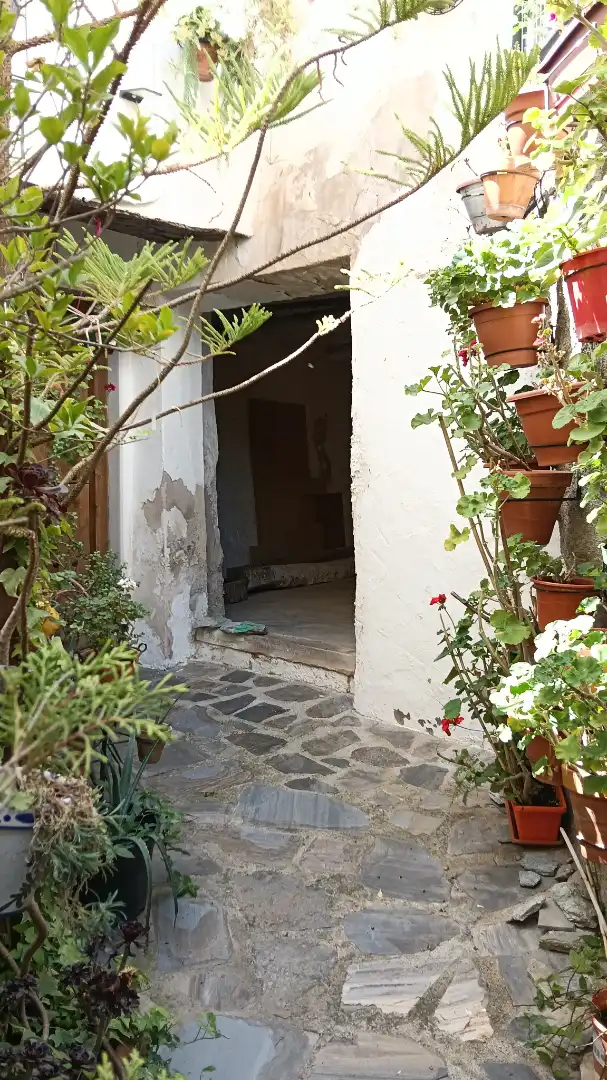 Casa con jardín en venta en Calle Santa Teresa, imagen 36