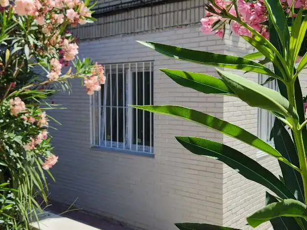 Wohnung mit Pool zum Verkauf in calle pinguino 10, imagen 5