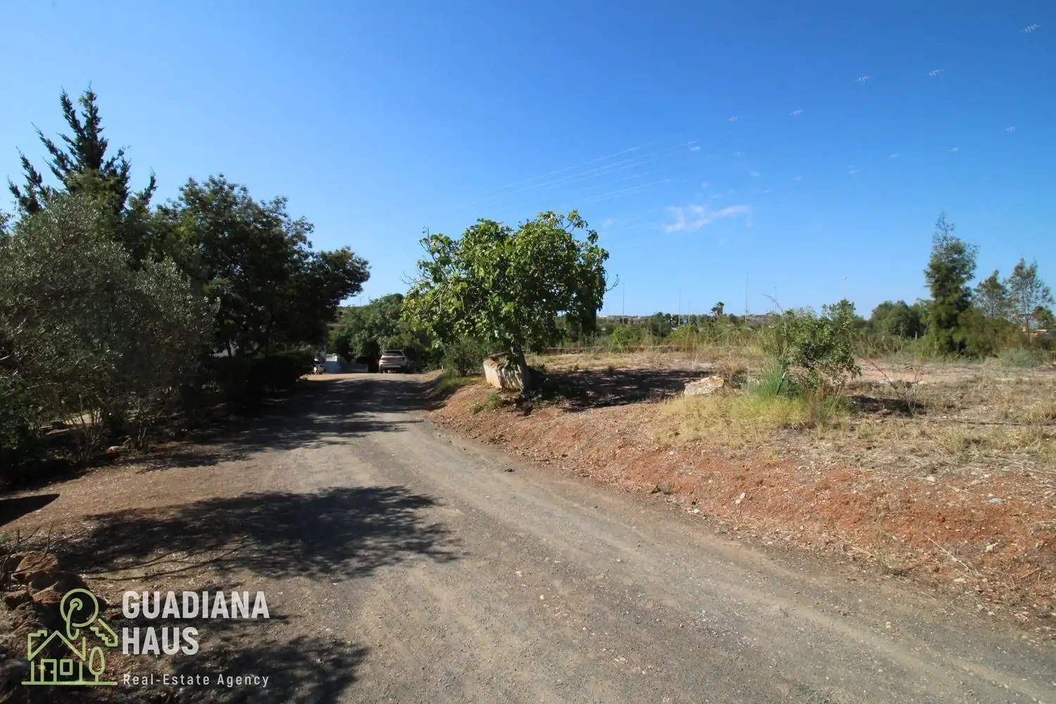 Finca rústica en venda a Vía del V Centenario, 567, Costa Esuri
