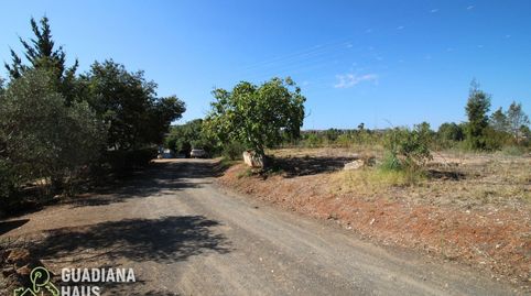 Foto 4 de Finca rústica en venda a Vía del V Centenario, 567, Costa Esuri, Ayamonte