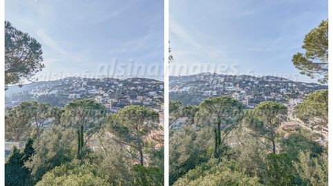 Foto 3 de Casa o xalet en venda a Avenida Arbres, 39, Serra Brava, Lloret de Mar