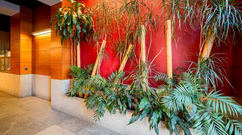 Foto 2 de Pis de lloguer a Calle Príncipe de Vergara, Hispanoamérica - Bernabéu,  Madrid Capital