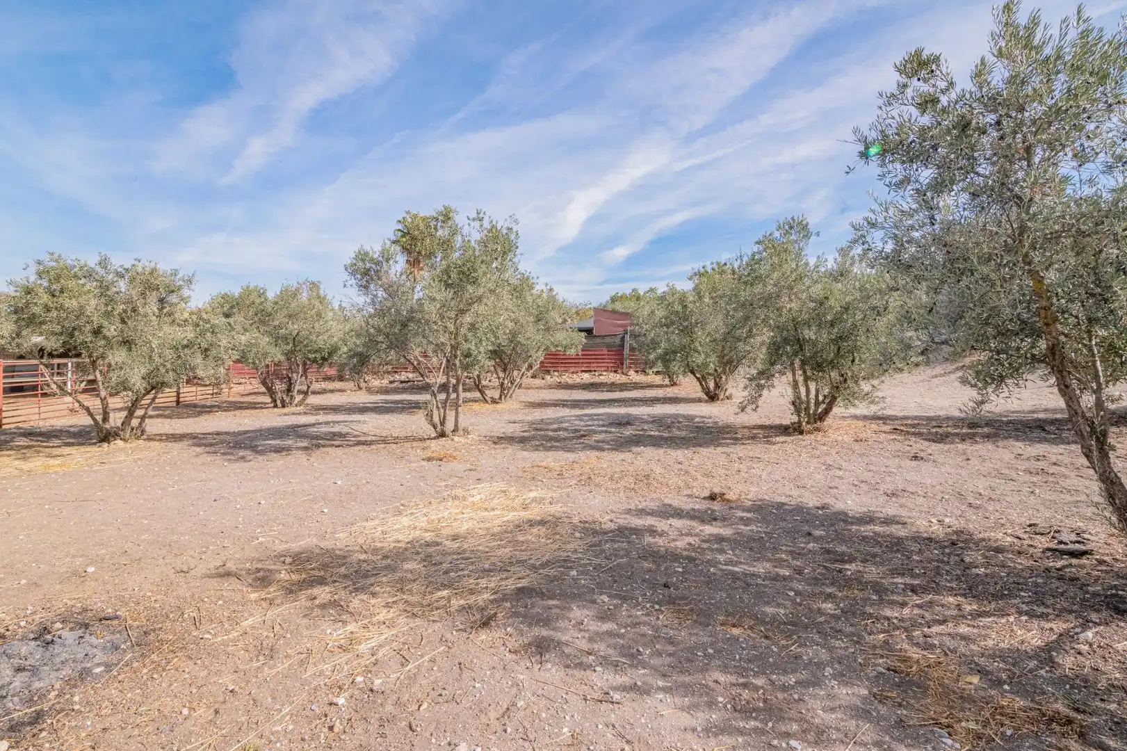 Finca rústica en venta en La Zubia