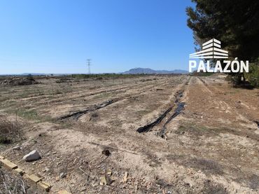 Rural land for sale in Crevillent