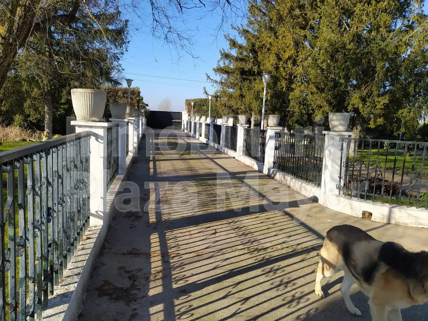 Casa amb piscina en venda a Villares de la Reina, imagen 9