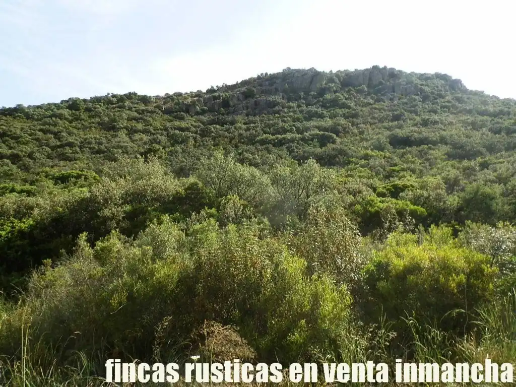 Terreny rústic en venda a Alcolea de Calatrava, imagen 5