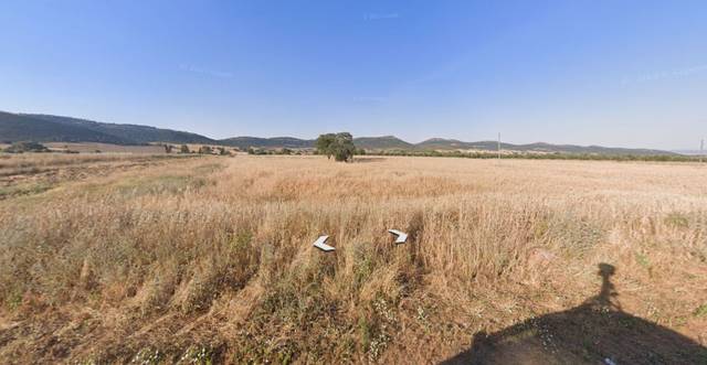 Finca rústica en Venta en Piedrabuena