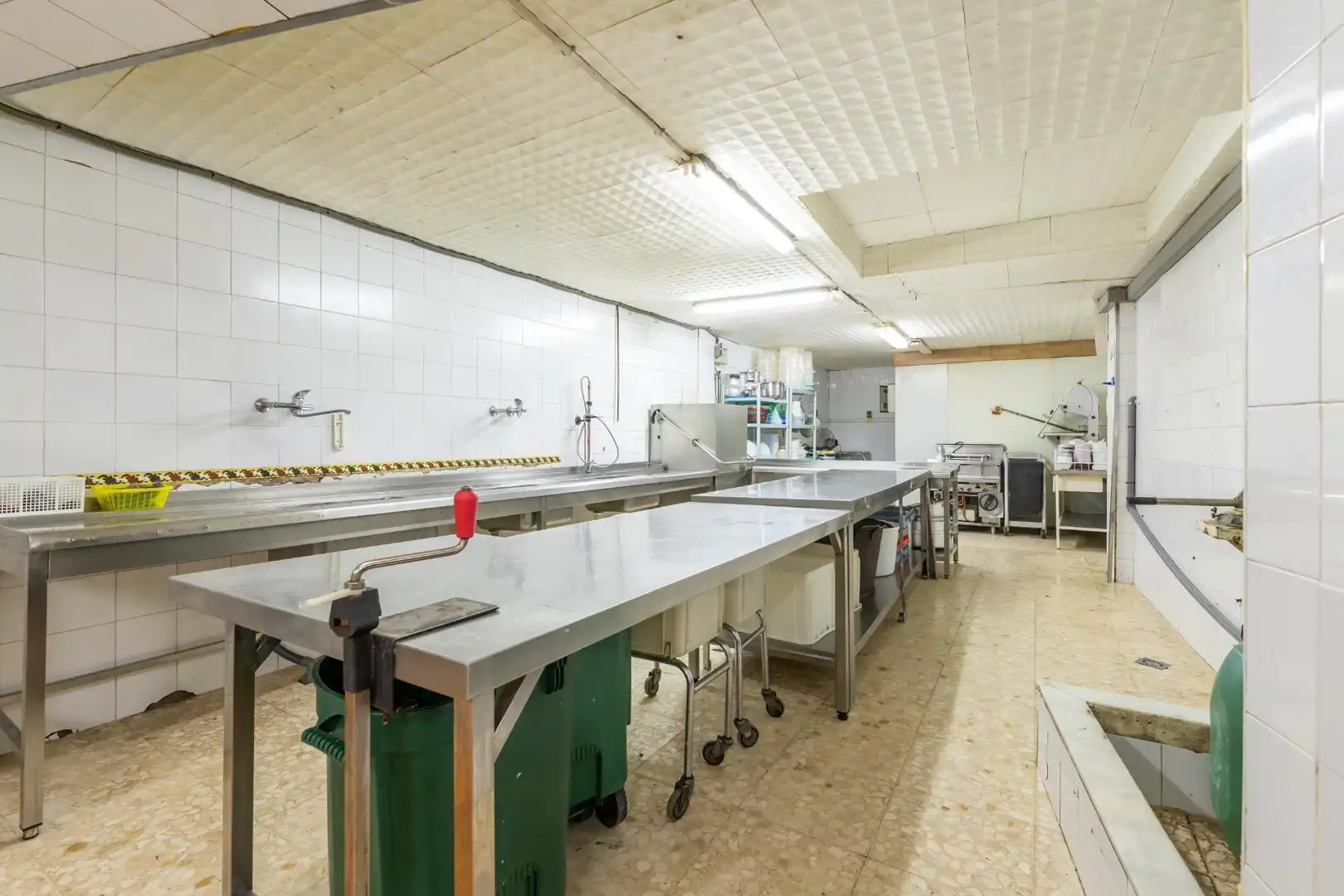 Local comercial en venta en Camino Real de los Neveros 93, imagen 23
