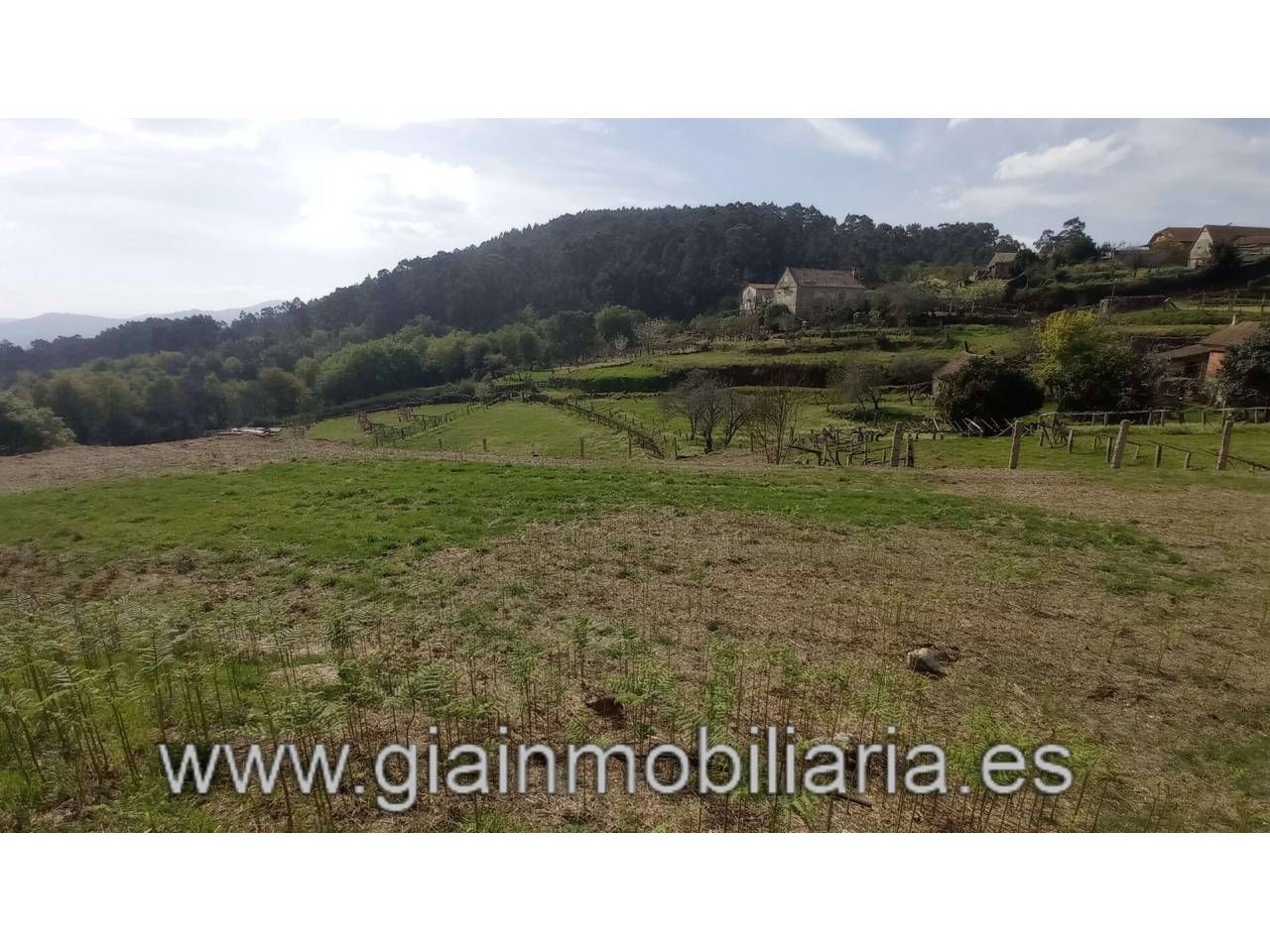 Land for sale in Mondariz