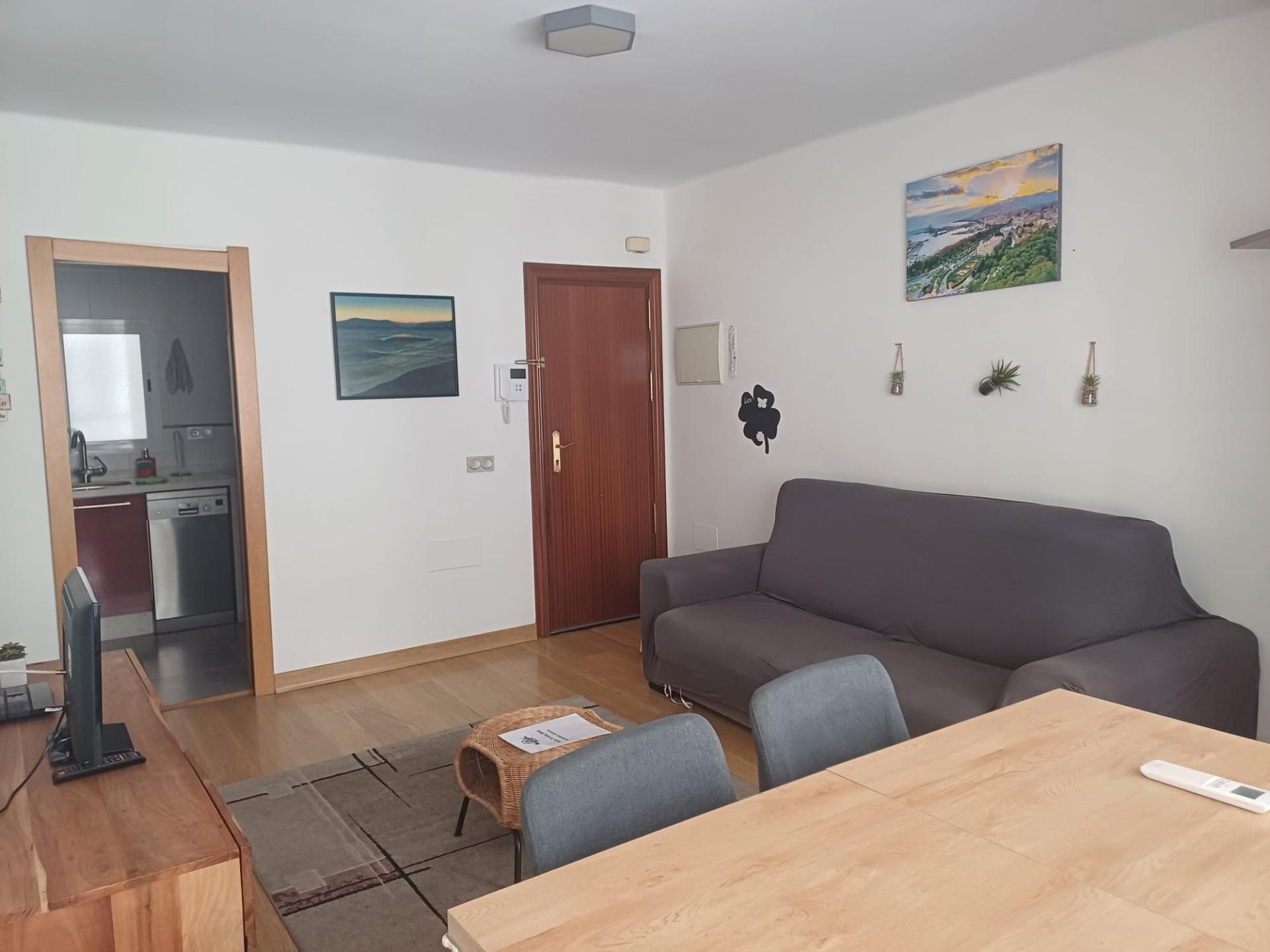 Sala de estar de Piso de alquiler en Málaga Capital con Aire acondicionado y Calefacción