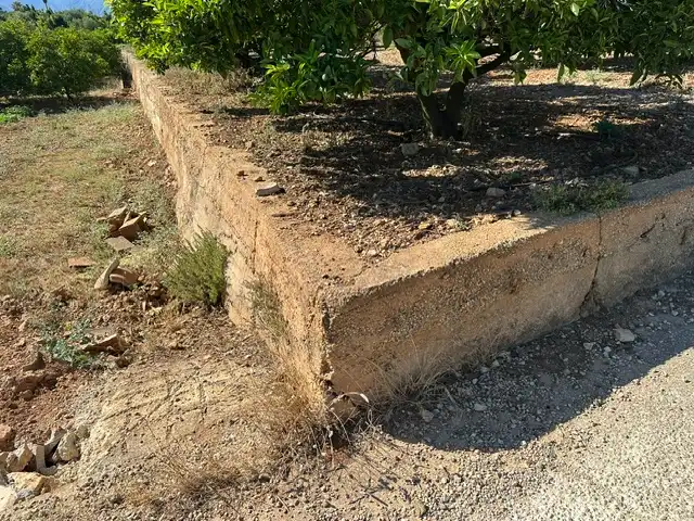 Terrain rustique à vendre à Partida Blanquisal, imagen 27