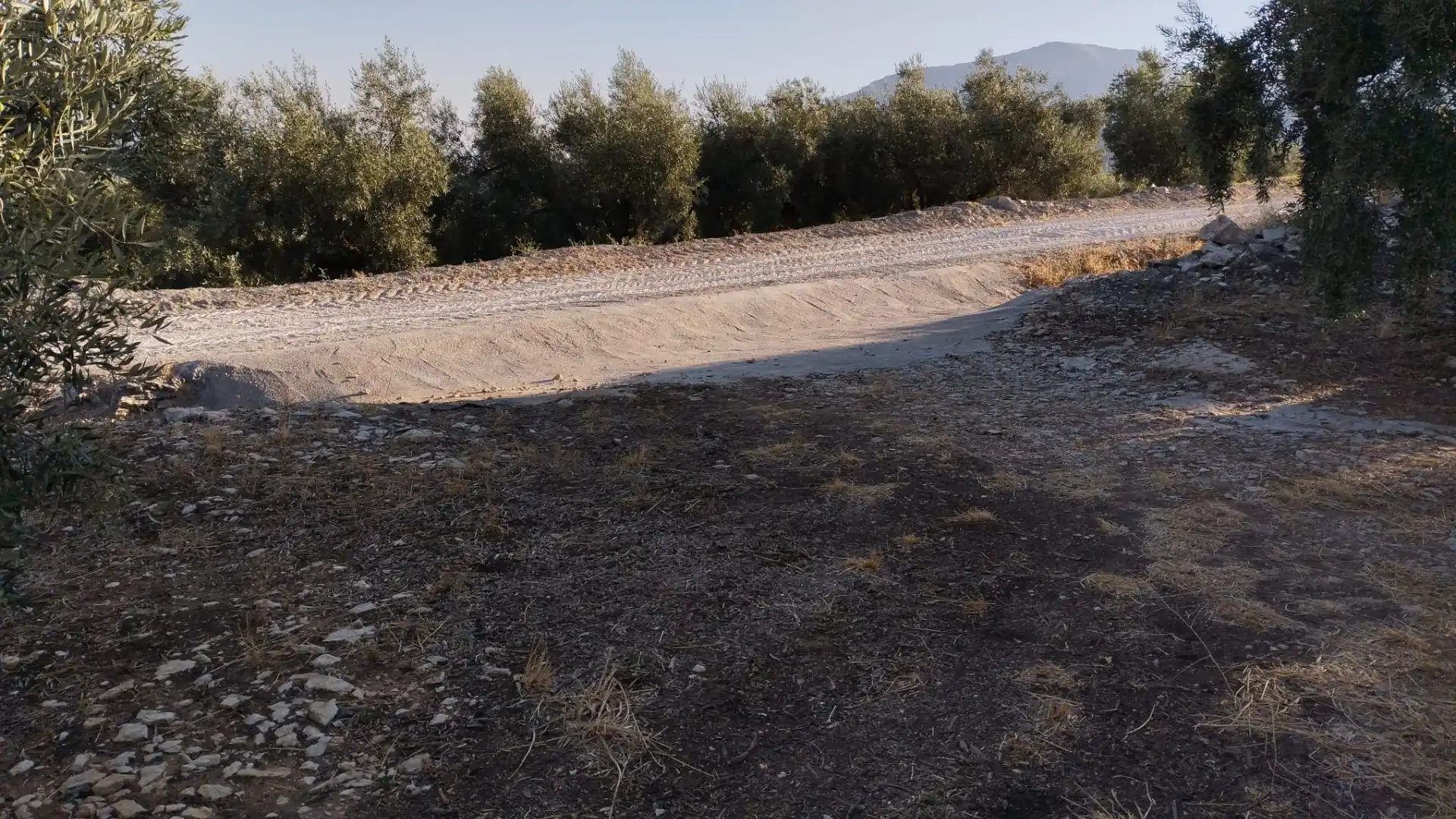 Terreno rustico in vendita a Avenida Góngora, imagen 2