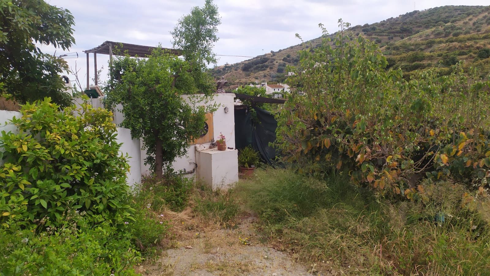 Garden of Country house for sale in Nerja  with Terrace, Storage room and Furnished