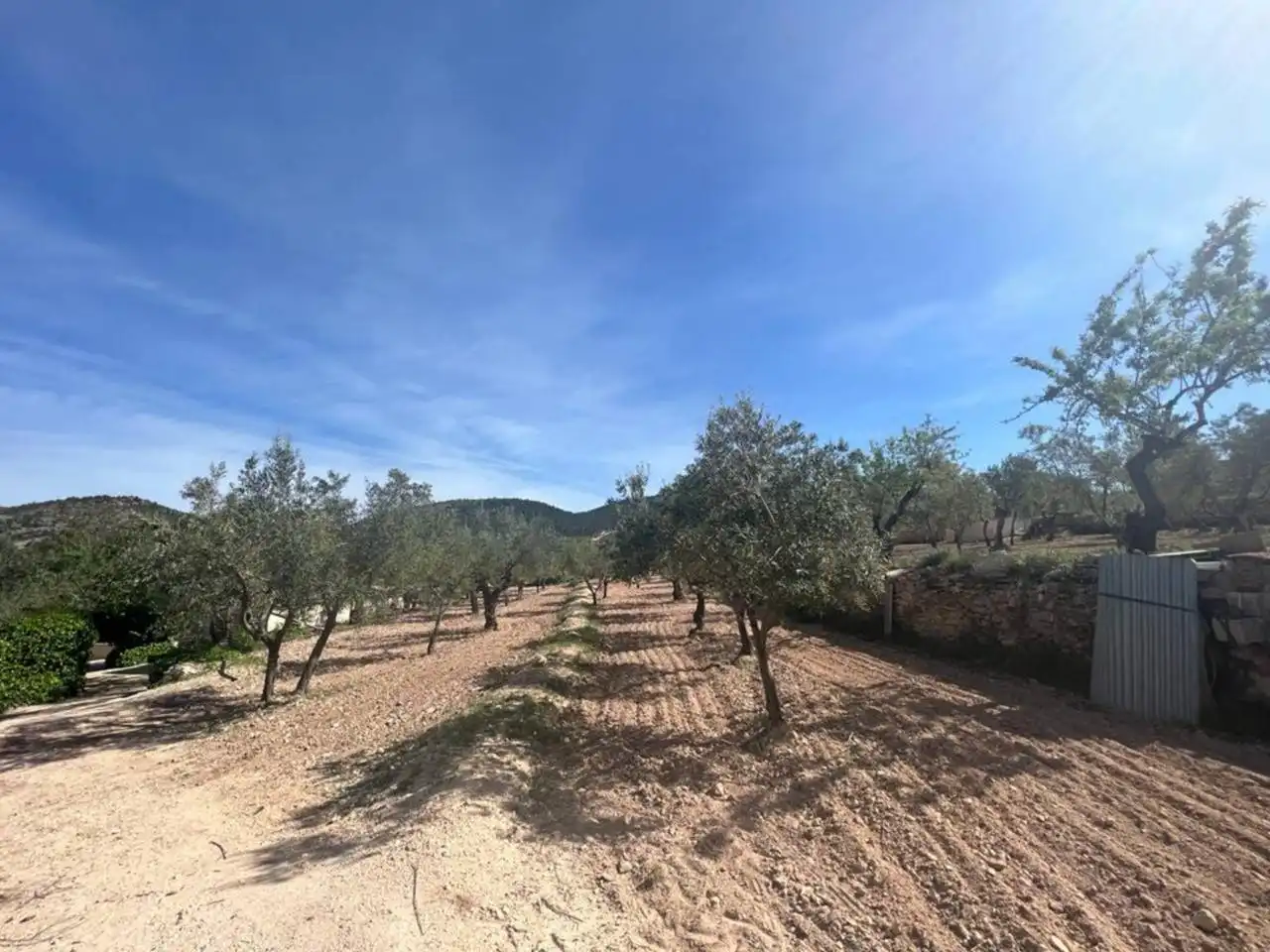Chalet con jardín en venta en Calle Poligono, imagen 49