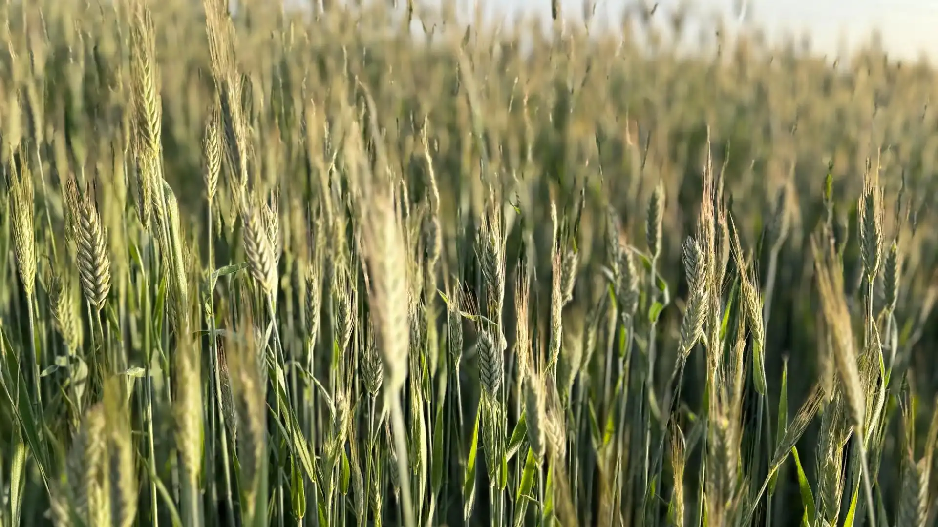 Vista exterior de Finca rústica en venda en Huelva amb Aire condicionat, Terrassa i Piscina
