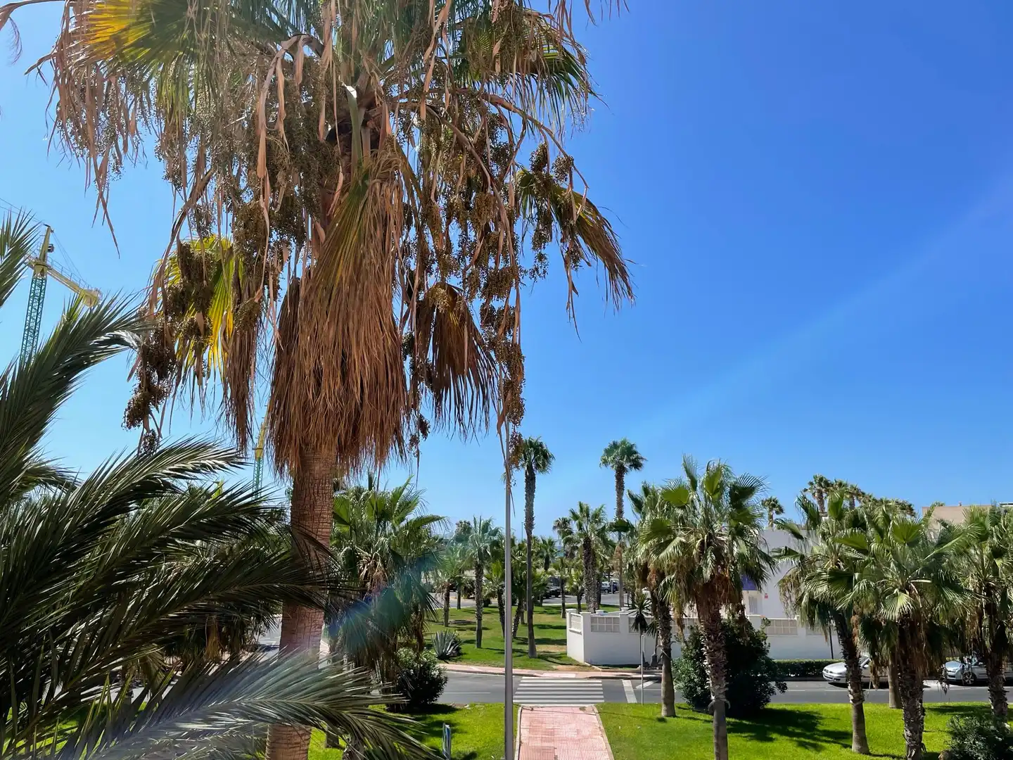 Appartement avec piscine à vendre à Almerimar, imagen 10