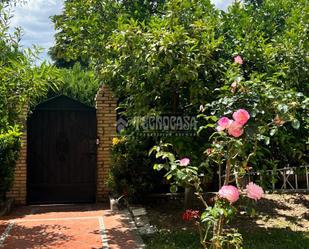 Garten von Einfamilien-Reihenhaus miete in Valencina de la Concepción