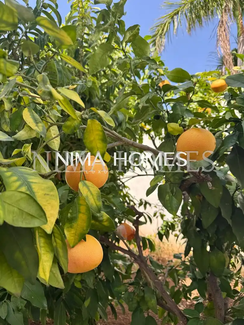 Maison avec jardin à vendre à Las Cuevas - Los Gómez, imagen 41