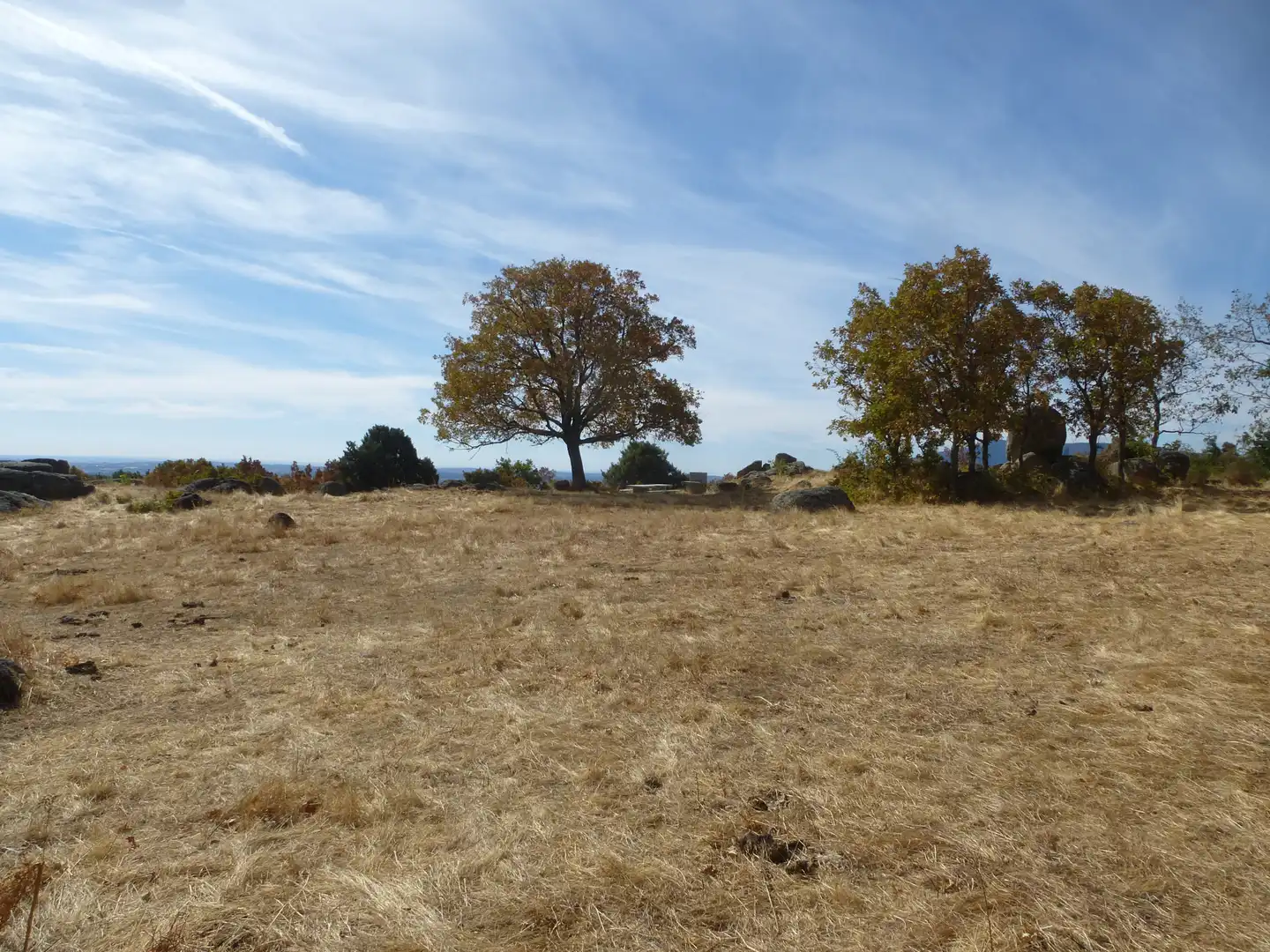 Terrain rustique à vendre à Calle de Prado Jerez, imagen 6