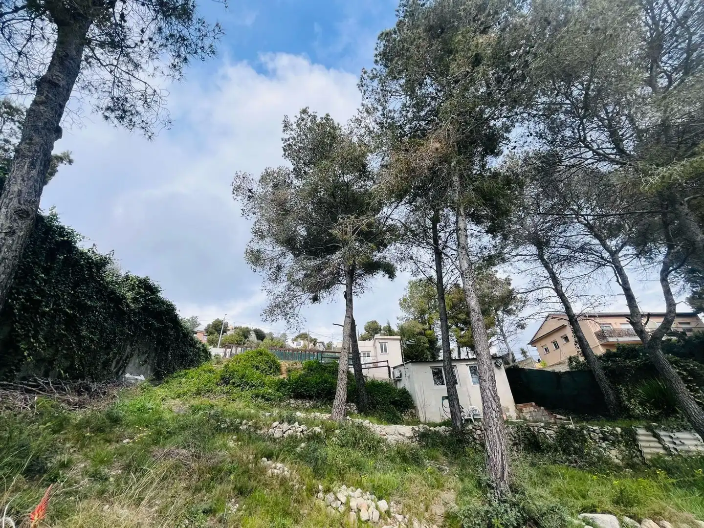 Terreno residencial en venta en Canyelles, imagen 20