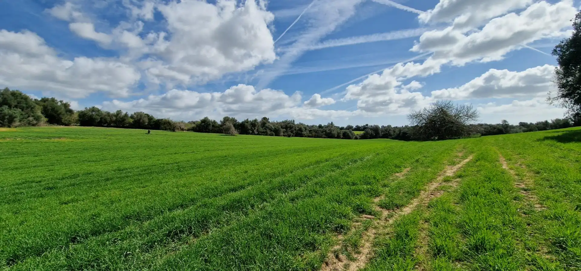 Country homes for sale in Manacor