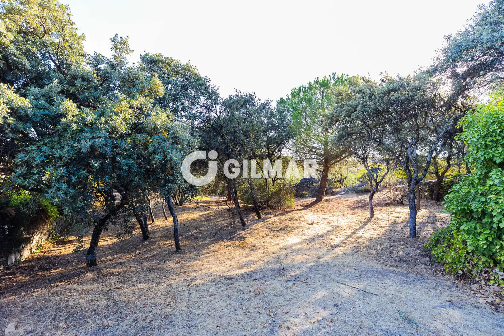 Residencial en venda en Madrid