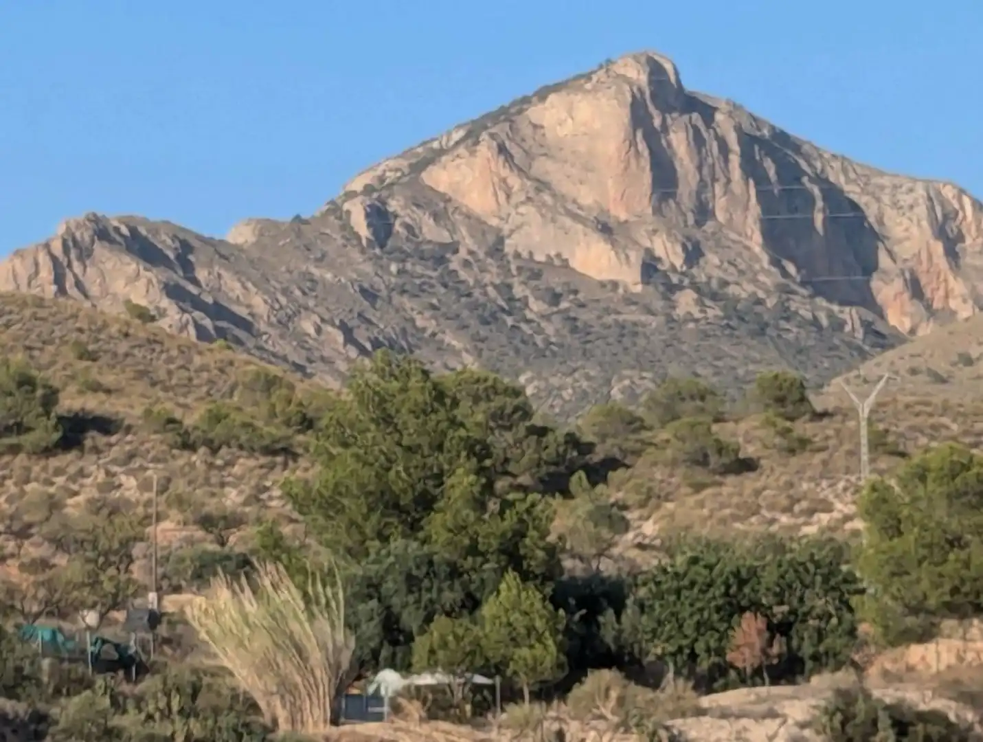 Villa à vendre à Petrer, imagen 4
