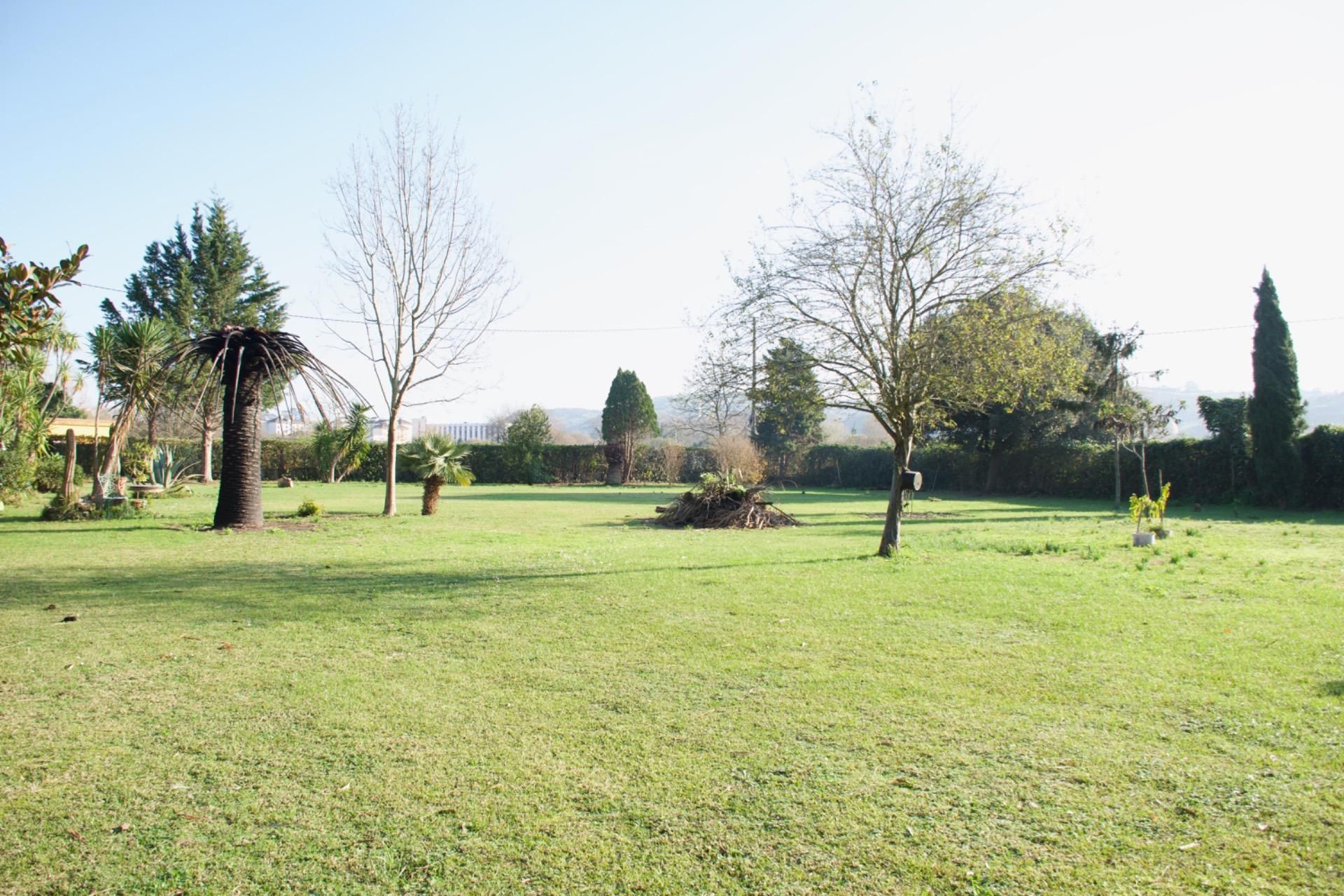 Land for sale in Laredo