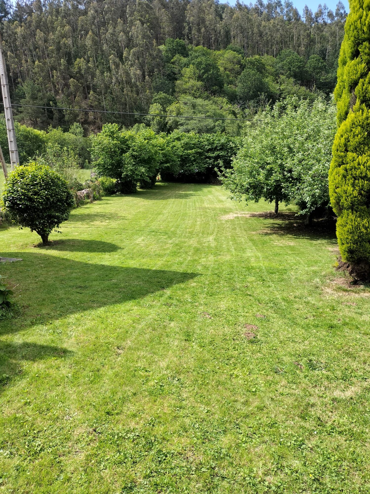Single-family semi-detached for sale in AS-311, Grado