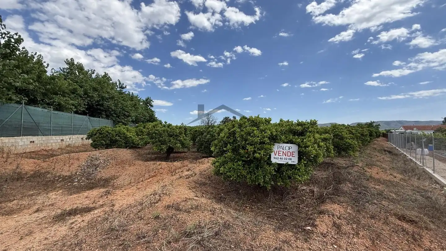 Land for sale in Rafelguaraf