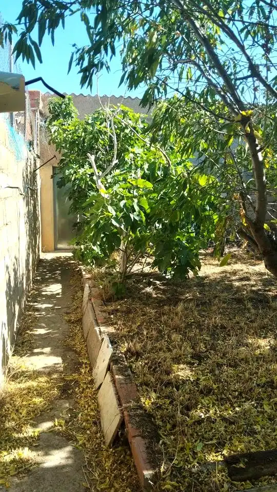 Garden of Detached homes for sale in Torrelacárcel  with Heating and Storage room
