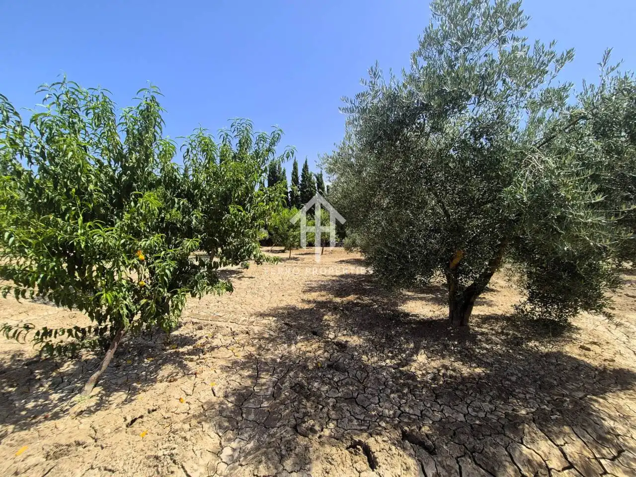 Residential land for sale in Avenida Doctor Rodríguez de la Fuente, imagen 14