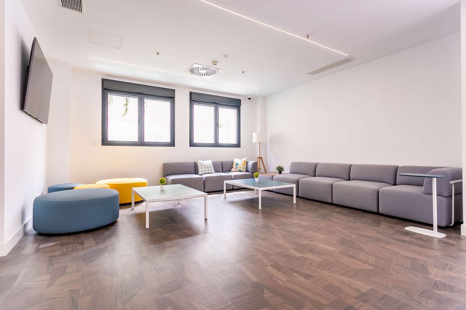 Study to share in Sector Sur  - La Palmera - Reina Mercedes