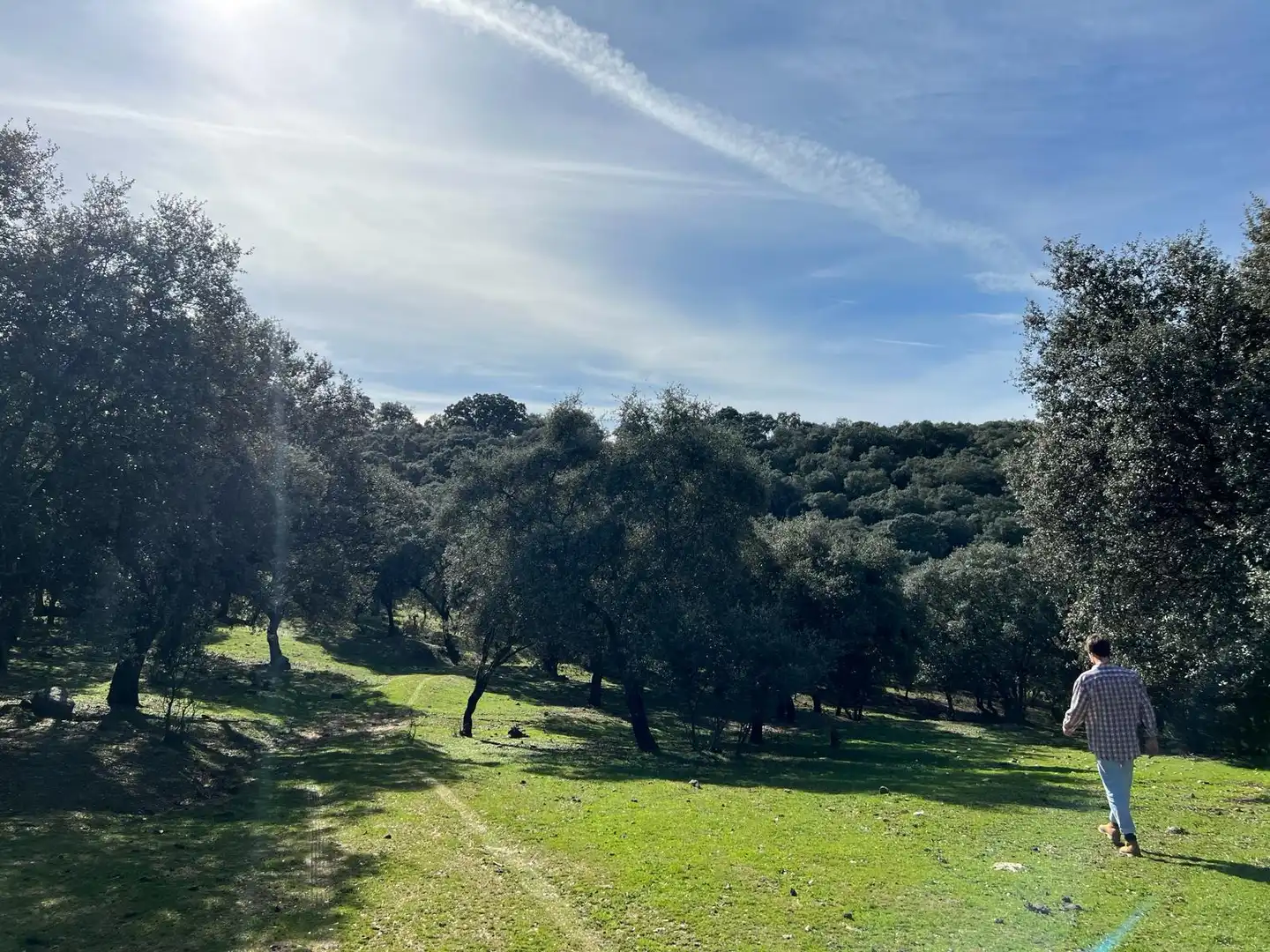 Terreno en venta en Almendral de la Cañada, Toledo