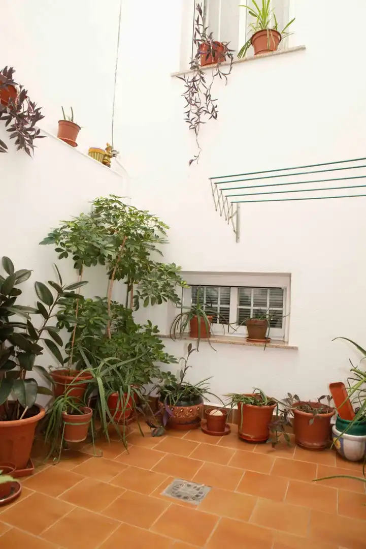 Casa a schiera con terrazza in vendita a hermanos pinzón, imagen 35