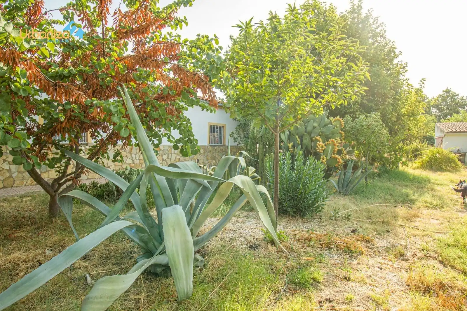 Jardín de Casa o chalet en venta en Badajoz con Calefacción, Jardín privado y Terraza