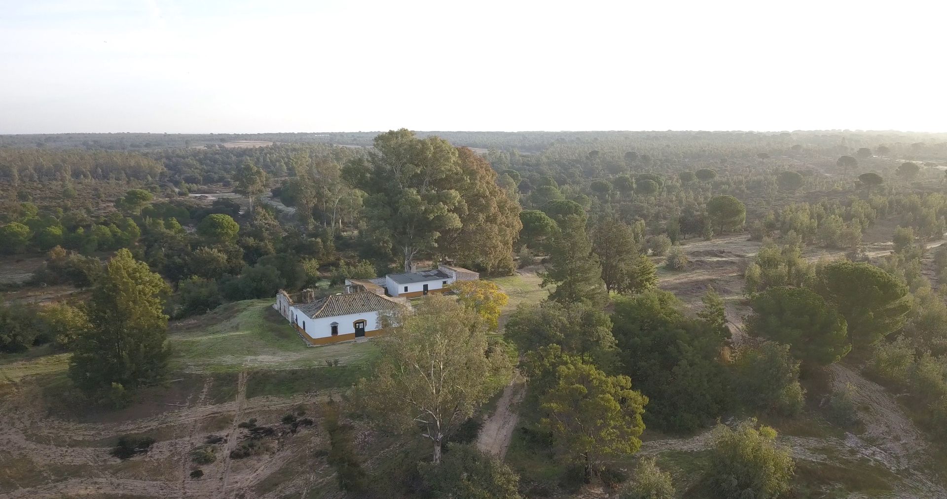 Vista exterior de Finca rústica en venda en Almonte