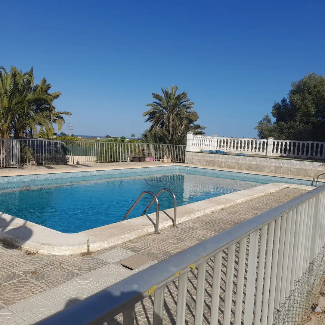 Piscina de Casa o chalet de alquiler en Elche / Elx con Terraza, Piscina y Se aceptan mascotas