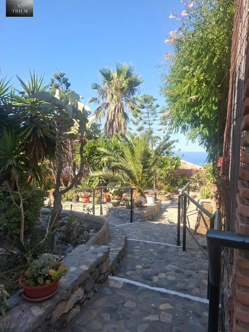 Casa o xalet en venda en Almuñécar