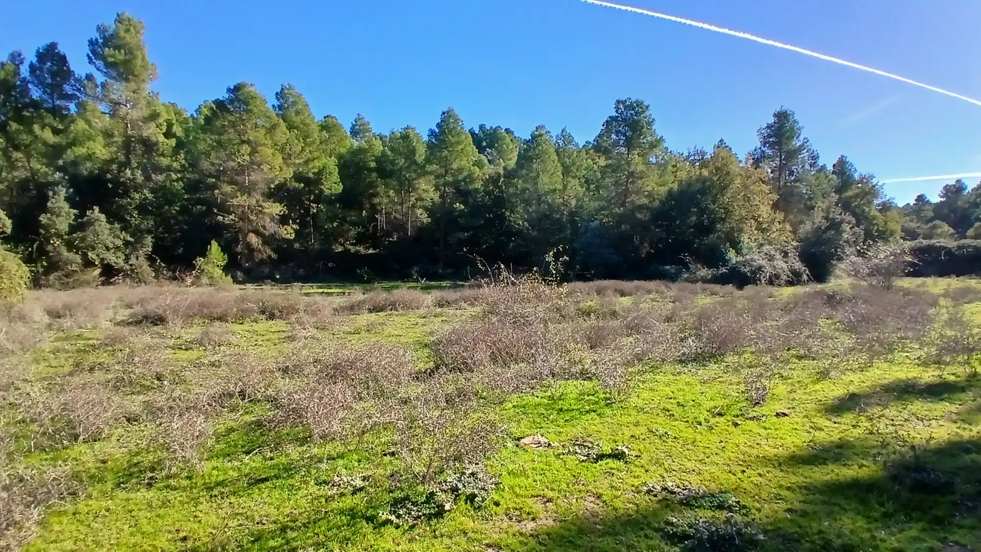 Terreno rustico in vendita a Calle Tremedal 13, imagen 4