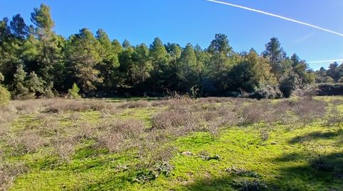 Cretas-Finca Rústica, immagine 4