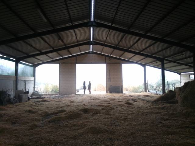 Nave industrial en Venta en Santa Eulalia de Oscos