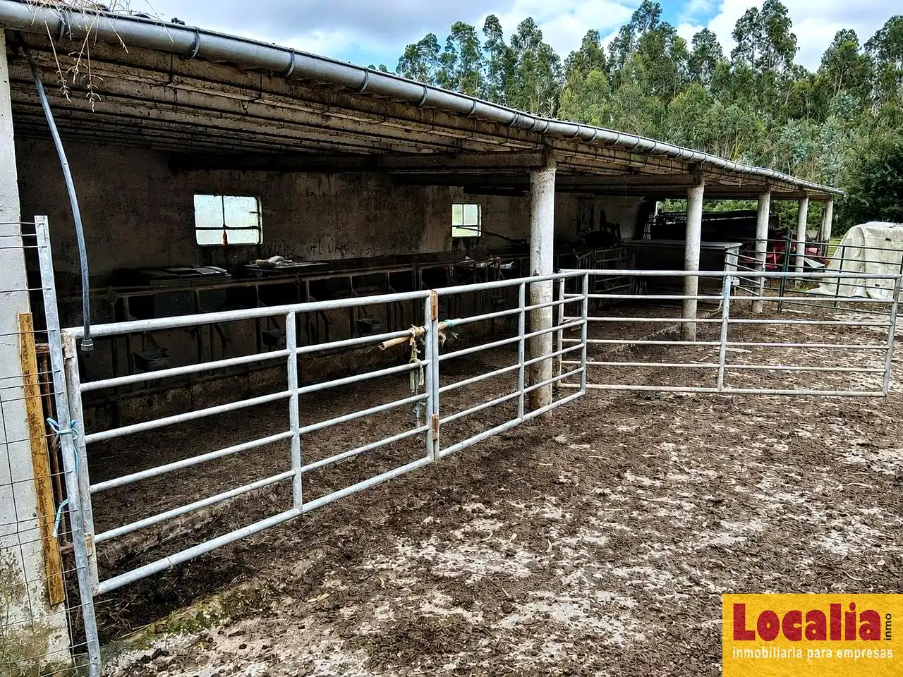 Rural land for sale in Oruña, imagen 10