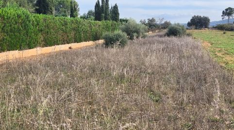 Finca con parte cerrada, immagine 5