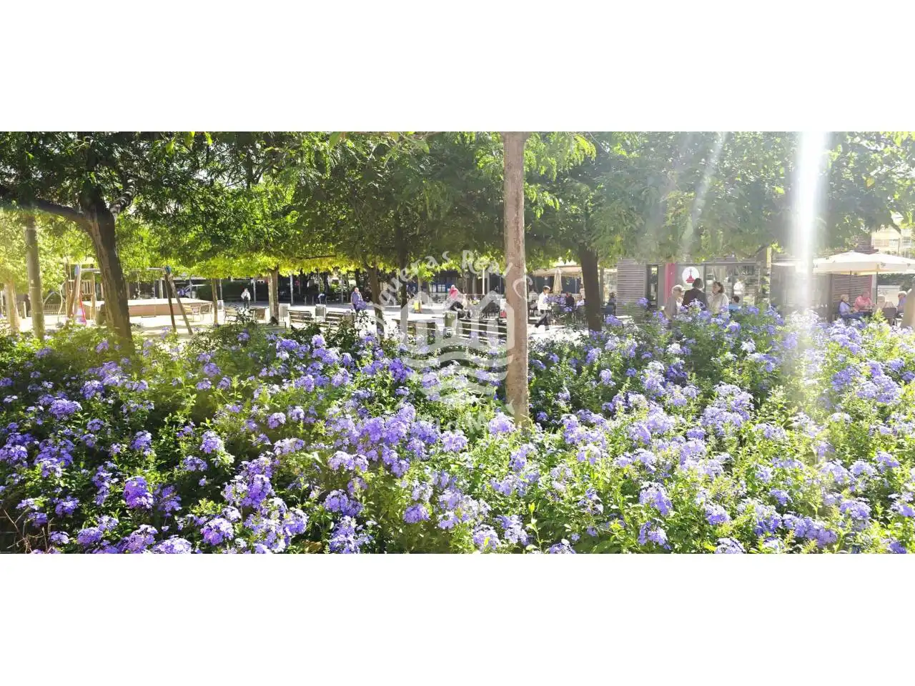 Jardí de Pis en venda en Terrassa amb Balcó