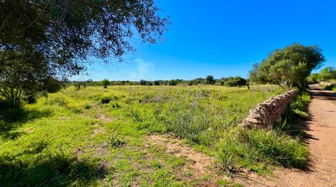 Foto 3 von Residential zum Verkauf in Es Llombards, Santanyí