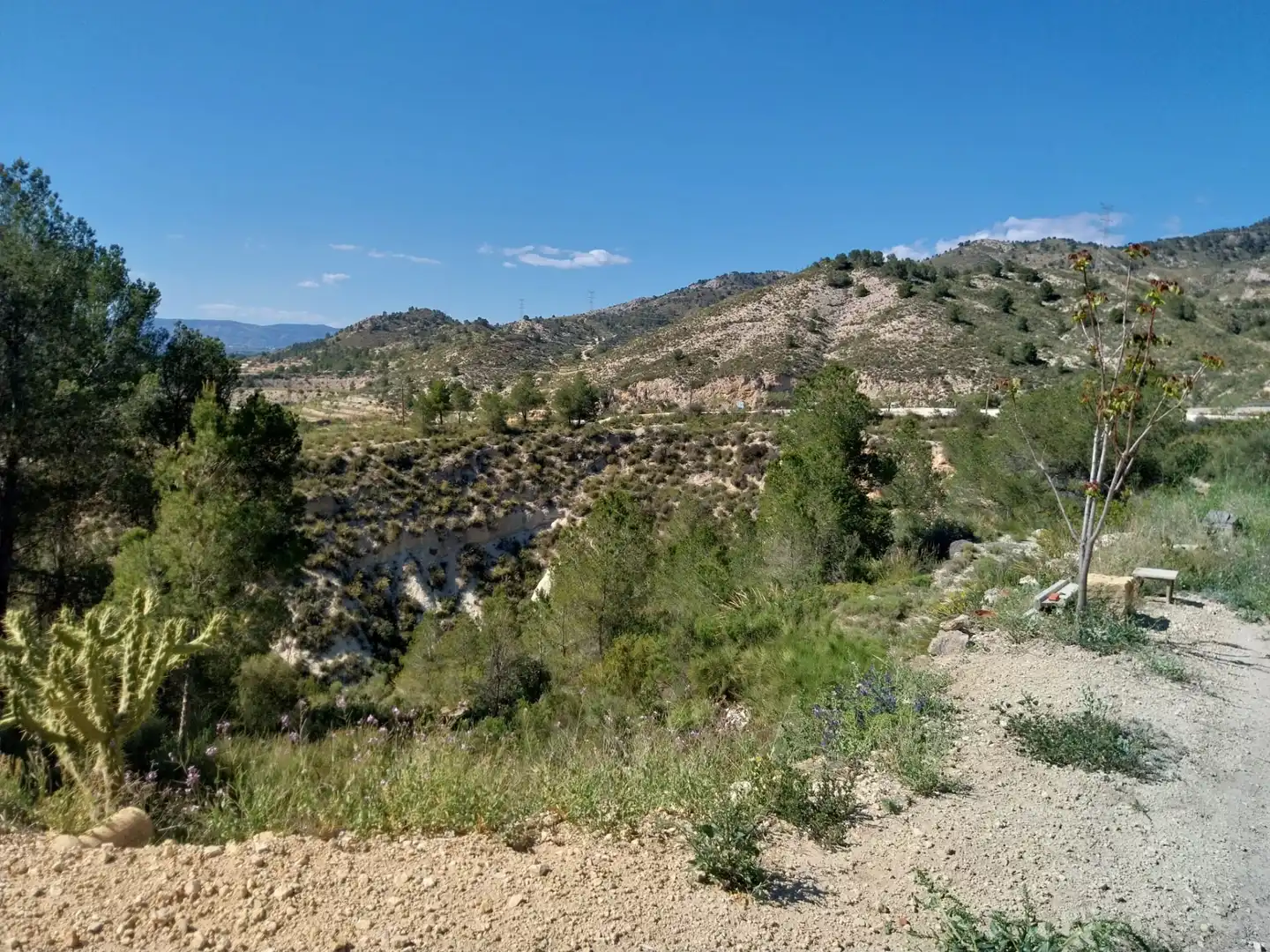 Terreno rustico in vendita a Lugar Castillo, imagen 36