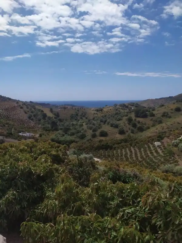 Rural land for sale in Camino de Peñones 11, imagen 6