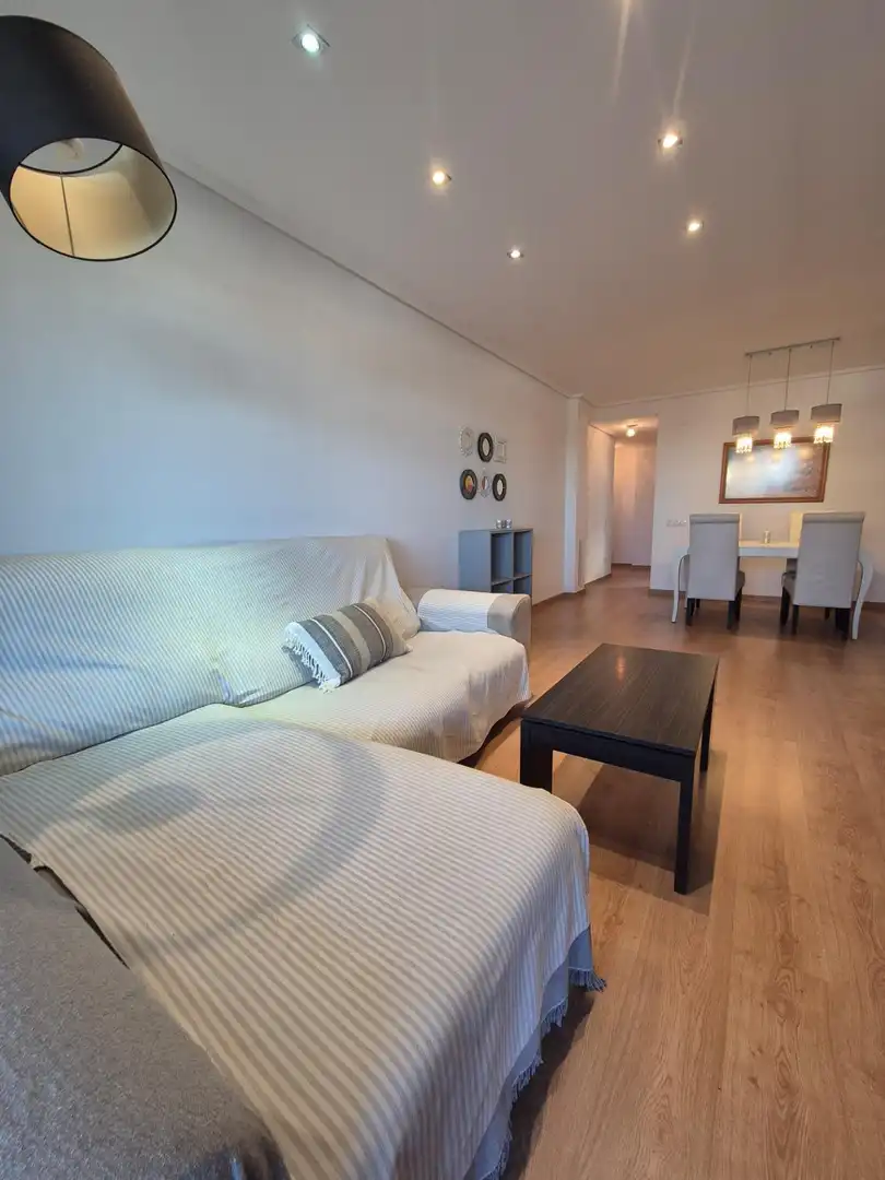 Sala d'estar de Àtic de lloguer en La Patacona